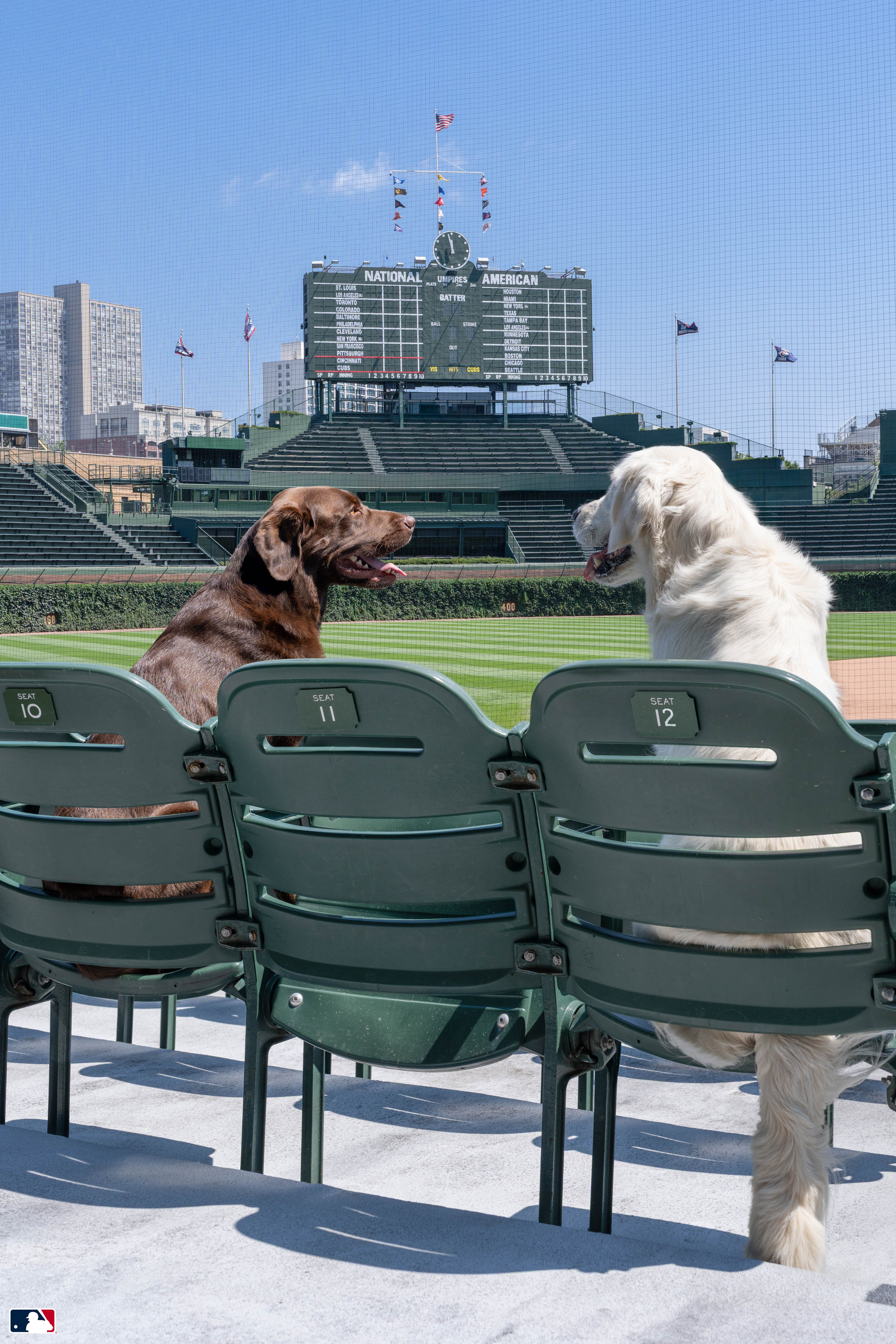 Best Seats in the House, Wrigley Field™, Chicago