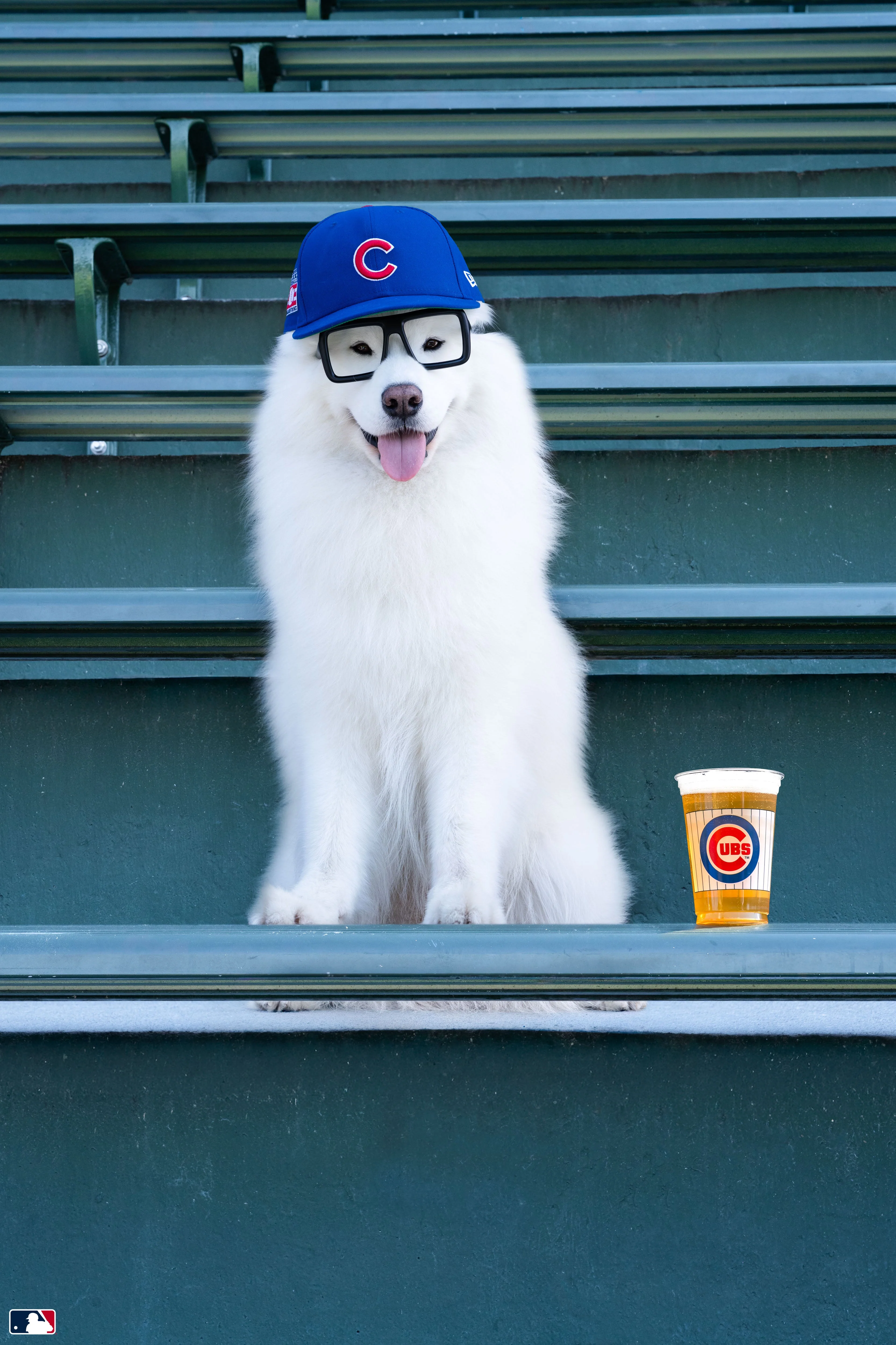 The Sportscaster, Wrigley Field™, Chicago
